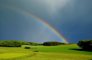 Look for the rainbows, not the black clouds!